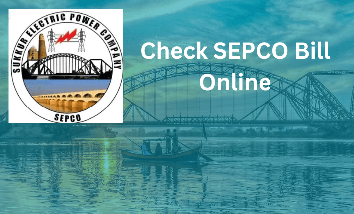 Check SEPCO Bill Online
