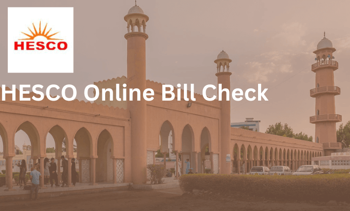 HESCO Online Bill Check