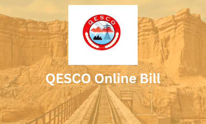 QESCO Online Bill