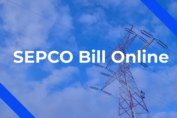 Empower and Simplify: SEPCO Bill Online Made Easy