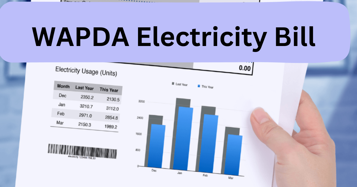 Wapda electricity bill